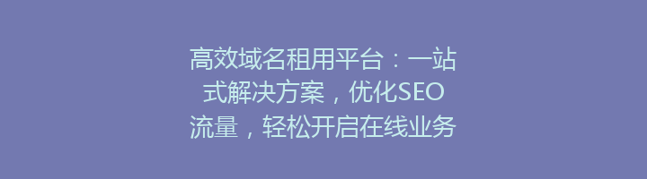 高效域名租用平台：一站式解决方案，优化SEO流量，轻松开启在线业务！