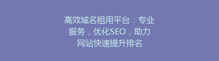 高效域名租用平台：专业服务，优化SEO，助力网站快速提升排名