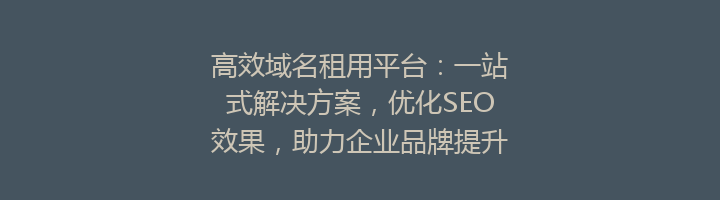 高效域名租用平台：一站式解决方案，优化SEO效果，助力企业品牌提升