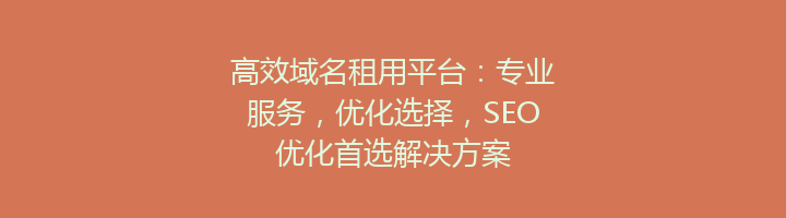 高效域名租用平台：专业服务，优化选择，SEO优化首选解决方案