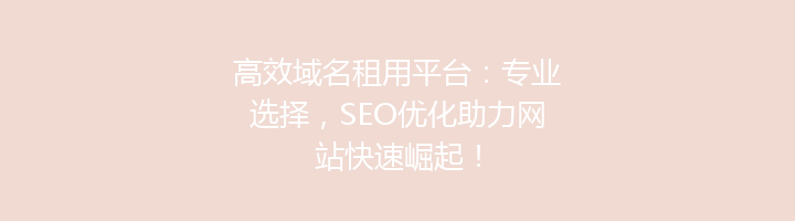 高效域名租用平台:专业选择,SEO优化助力网站快速崛起!